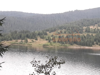 Teren de vanzare 29.131m² lac Belis, la Paraul Butoaie,Giurcuta