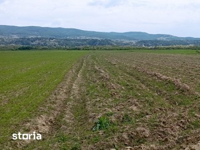 Pantelimon langa Sectia 9 Politie etajul 4 vedere spate