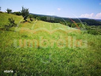 Teren de vanzare Bontida. Extravilan 16.600m²