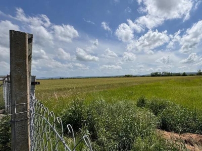 Teren intravilan de vanzare Sacadat, Bihor - 20 minute de Oradea