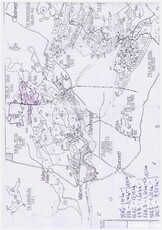 Vand 30,9 ha padure in amenajamentul comunei Vulturesti (Ocolul silvic Vulturesti), judetul Olt