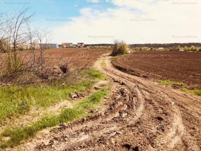 Vanzare Teren Constructii Saftica