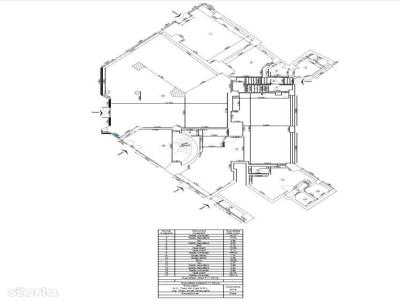 Spatiu de inchiriat – Bd. Anastasie Panu – CENTRU – Vad intens