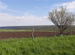 Casa la tara, Dumbrava de jos, gospodarie la cheie, 3ha teren