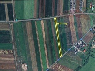 Teren 2,467mp Tarlungeni/Strada Zizinului/7,42 m latime