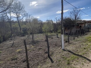 teren 2900 m , Comuna Salcuta, jud Dolj