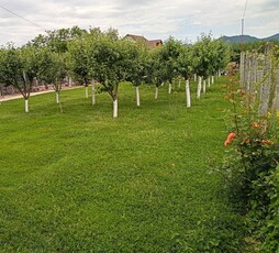 Teren intravilan Baia Mare strada Sebesului