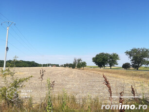 Teren intravilan, pentru constructii hale industriale, zona Pecica