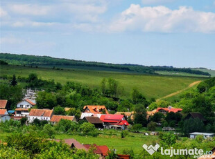 Teren Sibiu, Sura Mica