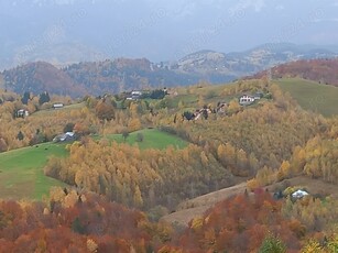 Vand teren Șirnea Fundata