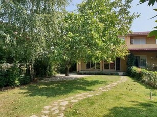 Villa for rent Iancu Nicolae