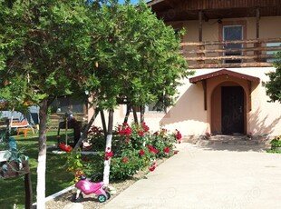 Casa de vânzare Dascălu, Ilfov