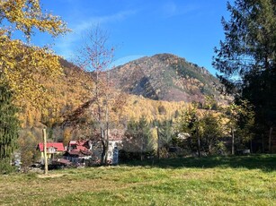 Oaza de liniste si frumusete, reconectare cu natura,teren Poiana Marului Caras Severin