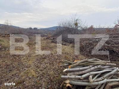 BLITZ ,vinde teren intravilan, 1000mp,Valea Rusului