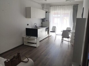 Apartament 2 camere, mobilat, zona Stejarului