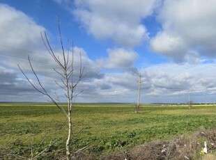 Teren 1,2 ha in Vama Veche cu deschidere direct la DN39, la 300 ml de granita