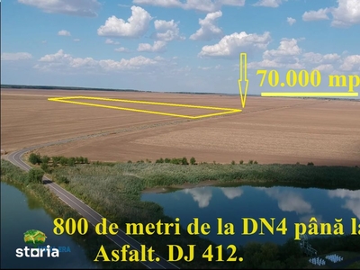 Zona Frumușani. Teren dezvoltatori. 72 loturi P+1+M. 8 x P+4. 4 x P+2