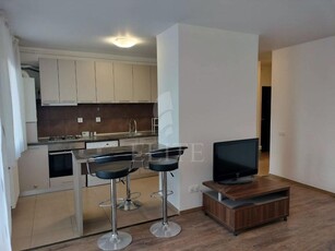 Apartament 2 camere in zona BORHANCI