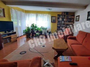 Baia Sprie (la intrare) casa finisata, P+M, teren 18,5 ari (cod 89)