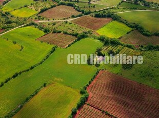 Cicarlau (deschidere la DN1C) teren intravilan situat in zona industriala, 50 ari