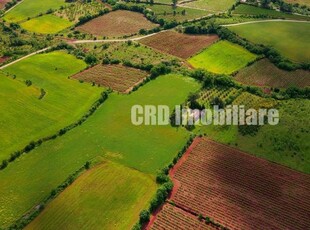 Cicarlau teren intravilan industrial, parcela in suprafata de 50 ari