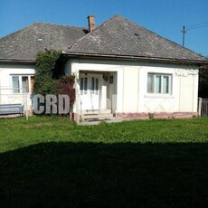 Loc. Basesti (jud. MM) casa de vanzare cu 8.000 mp teren