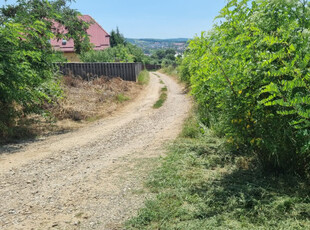 Teren Bucium dupa Plopii fara sot 606 mp Din 2008 sustinem Comunitatea Agentiilor Imobiliare din Iasi