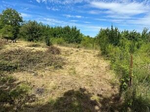 Teren de vanzare 1000mp Borhanci, cu front la doua strazi