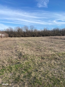 Teren de vanzare in cornetu lângă pădure 33.000 mp