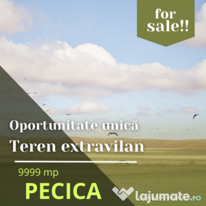 Oportunitate unica! Teren extravilan, 9999 mp, Pecica