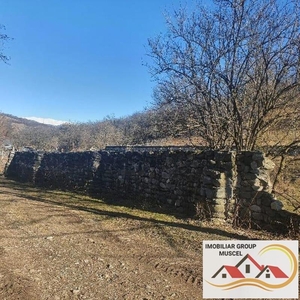 Teren intravilan 4614 mp Campulung Muscel - Valea Romanestilor Pret 23 000 euro
