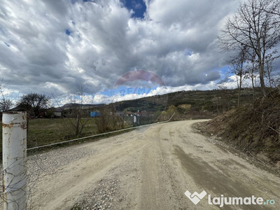 Teren Intravilan ILBA 50M fata de DN