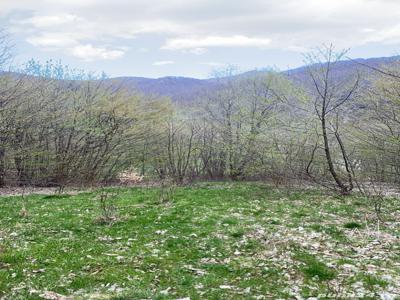 Teren 1000mp Baisoara Moara de pădure