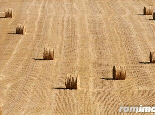 Cumpar teren agricol Braila / Galati