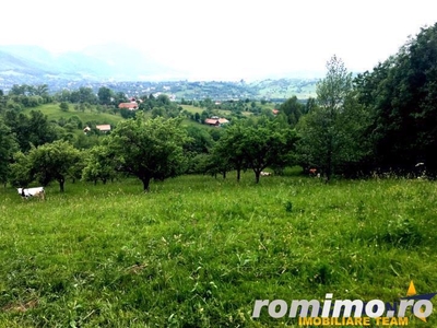 FILM! 20.000 mp in povestea naturii din renumitul areal: Bran, Brasov