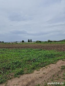 Inchiriez teren agricol 4700 mp Viile Sibiului