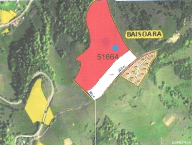 Teren de vanzare Baisoara:1,3 ha (260m*50m) +2 ha extrav.+1( ideal cabane, pensiune, fonduri , etc )