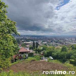 Teren Viilor Baia Mare ,1181 mp