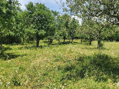 Vand 5100 m2 teren intravilan( livada) in Izvoarele, Prahova cu deschidere de 32 m la drum asfaltat