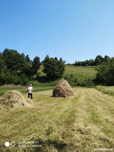 Vând grădină