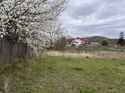 Vand teren in Berca, sat Joseni, jud. Buzau - 1380 mp