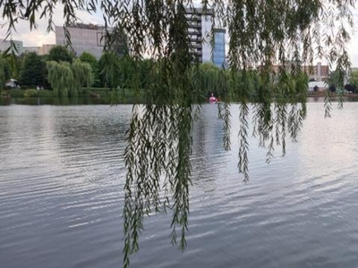 Teren, vedere spre Lacul Gheorgheni - Iulius Mall