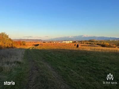 Teren Șura Mică, Reper Sala de Sport, 730 mp!