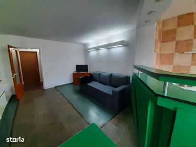 Apartament 1 camera cu hol locuibil - Precista