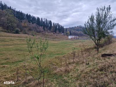 Teren la poalele pădurii - Cristian, Brasov