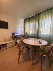 Apartament 2 cam Alexandru cel Bun, centrală, AC