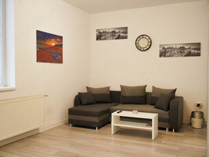 Apartament 2 camere open space - Turnisor, 38.72 mp utili, mobilat