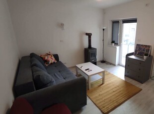 Apartament cu o camera Anina