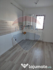 Apartament 1 camera si cu gradina