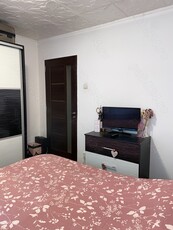 Apartament doua camere mobilat Giurgiului Luica